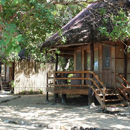 Cashew Grove Beach Resort Busuanga Exteriör bild