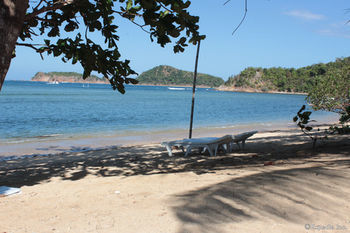 Cashew Grove Beach Resort Busuanga Exteriör bild
