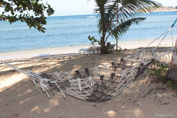 Cashew Grove Beach Resort Busuanga Exteriör bild
