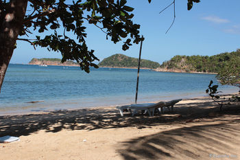 Cashew Grove Beach Resort Busuanga Exteriör bild